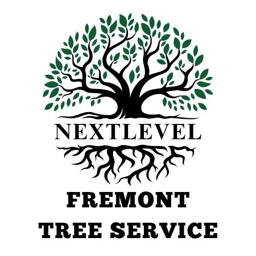 NextLevel Fremont Tree Services company logo