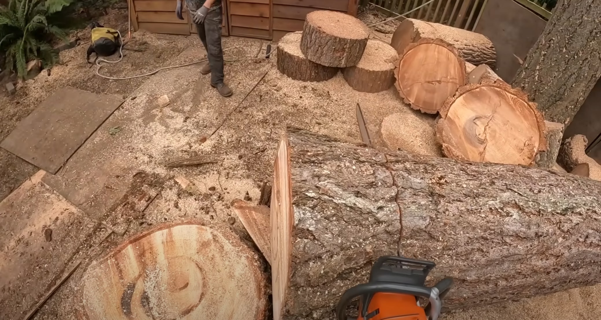 Professional tree removal showing large cut logs in residential yard in Fremont, CA